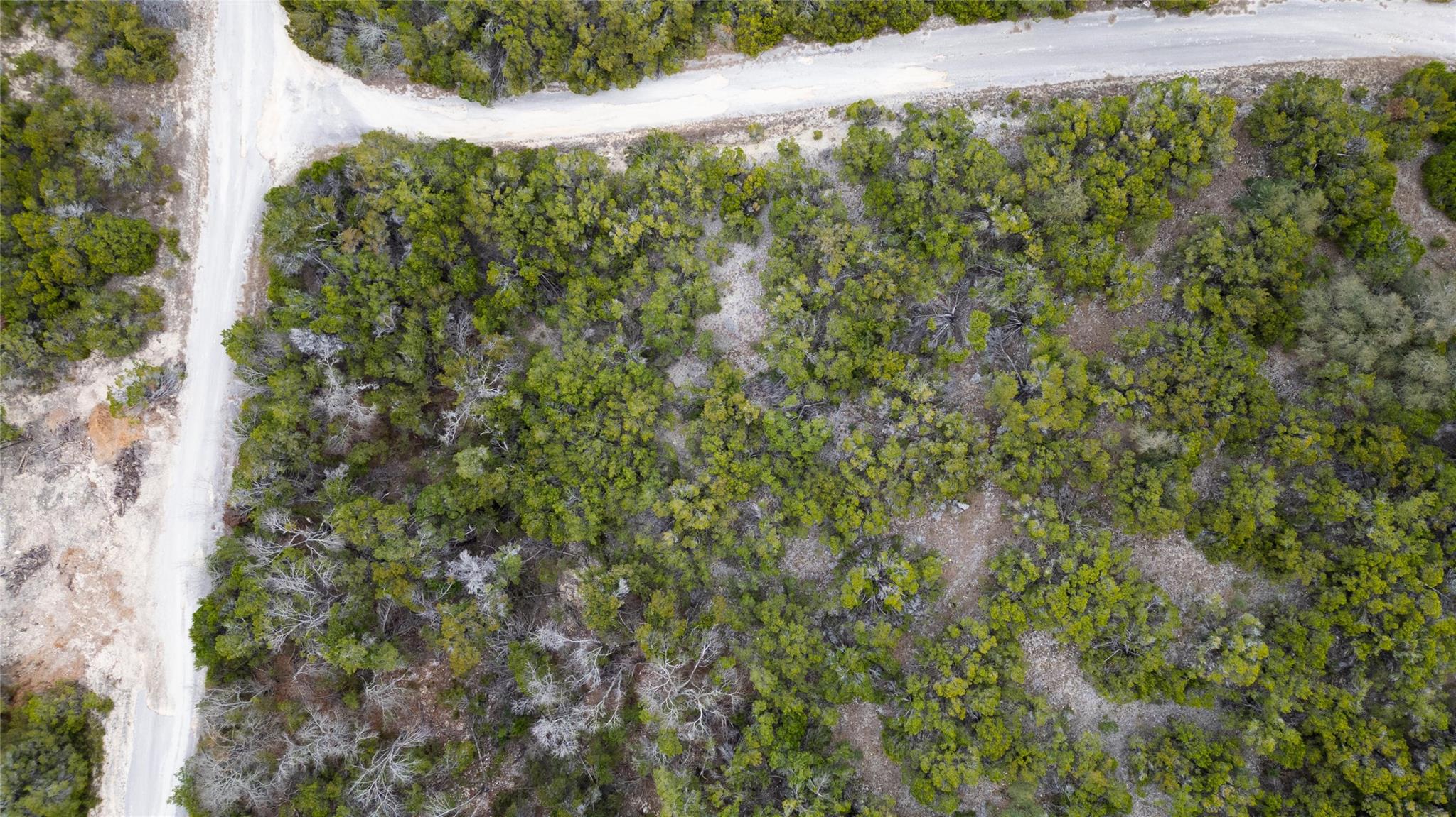 20605 Telegraph PASS