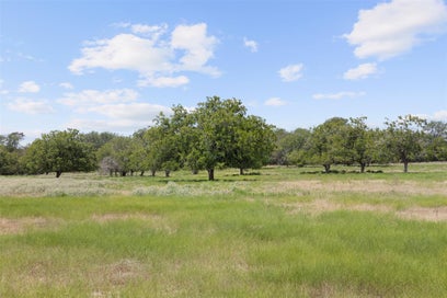 Tract 5 FM 3158 Dale TX 78616