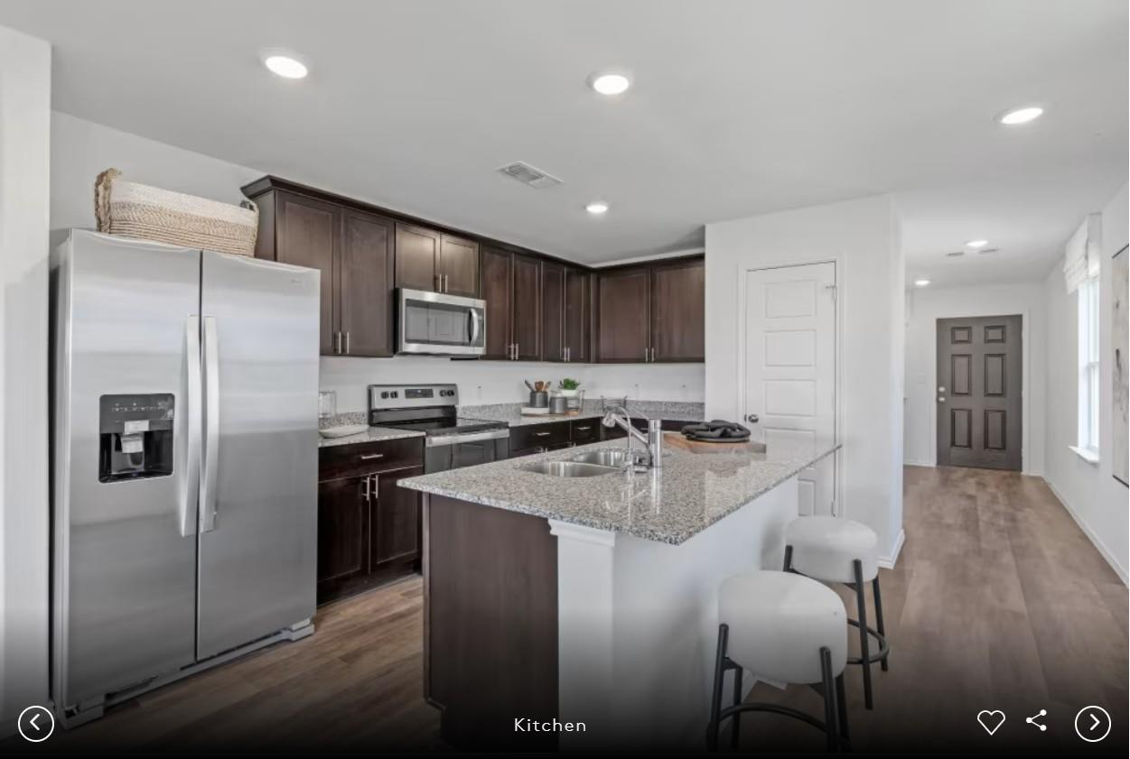 5111 Monarda Mint DR