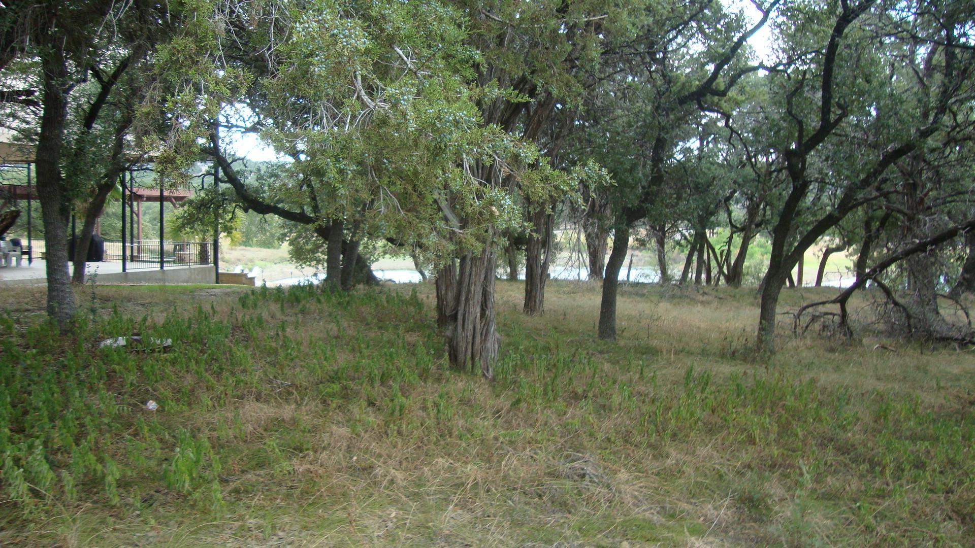 6703 Bar K Ranch RD