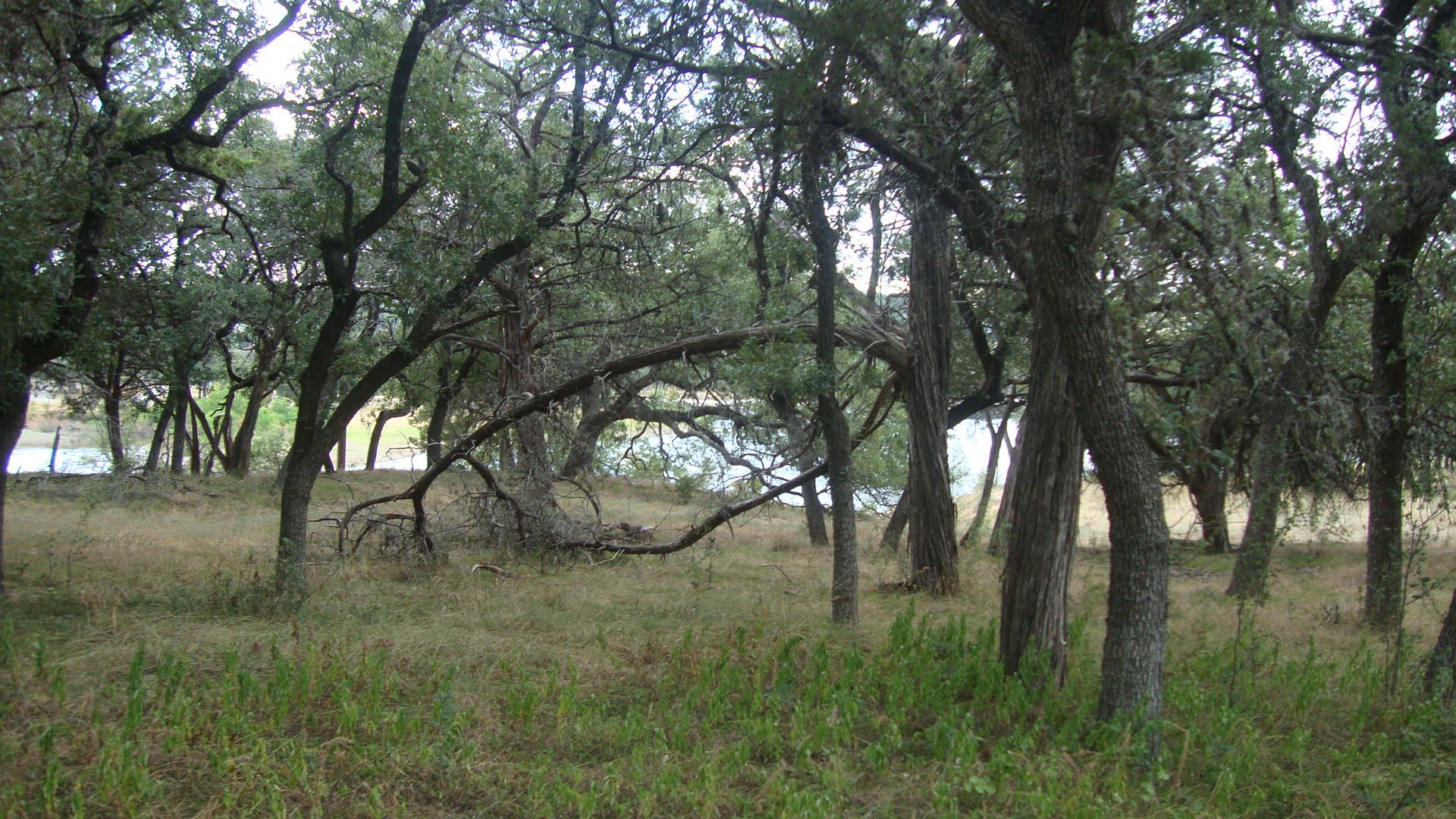 6703 Bar K Ranch RD