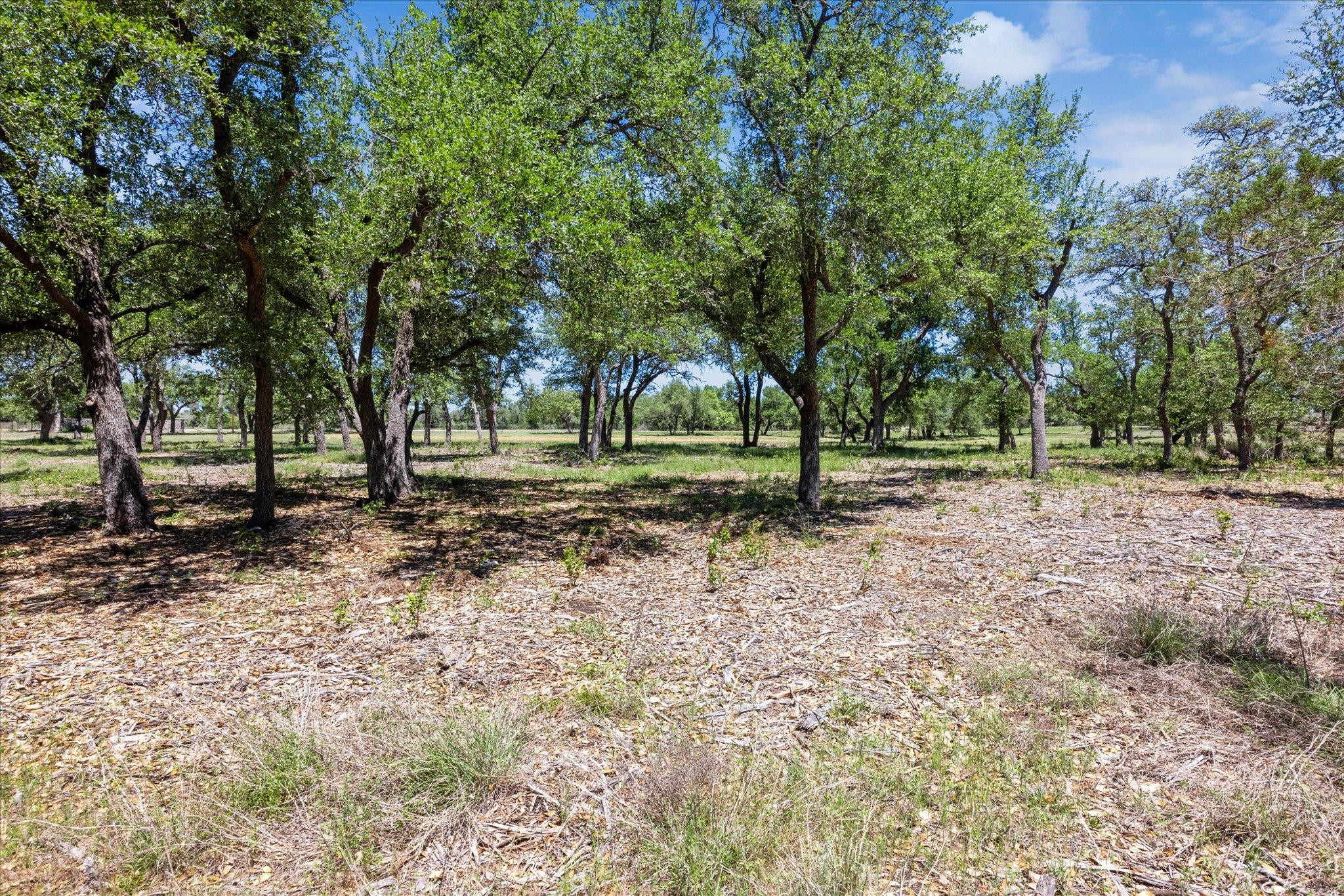 201 Medlin Creek LOOP