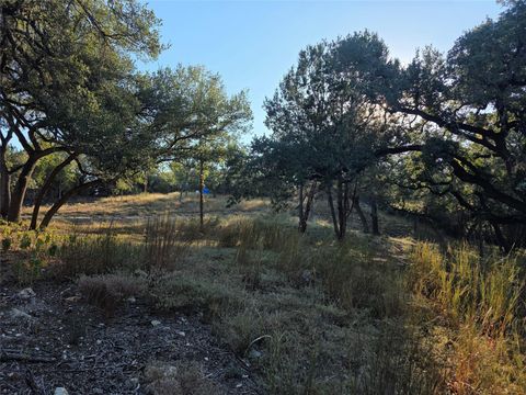 Photo of 201 Sycamore Valley RD, Dripping Springs, TX 78620 (MLS # 9910898)