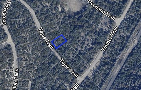 Photo of 20608 Tejas TRL, Leander, TX 78645 (MLS # 6315158)