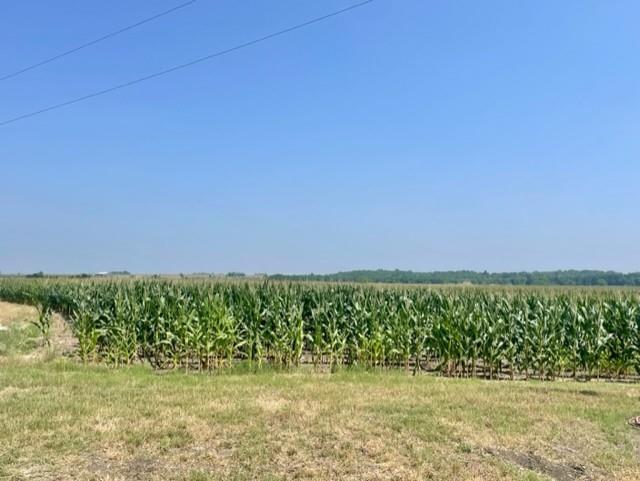1117 County Road 423