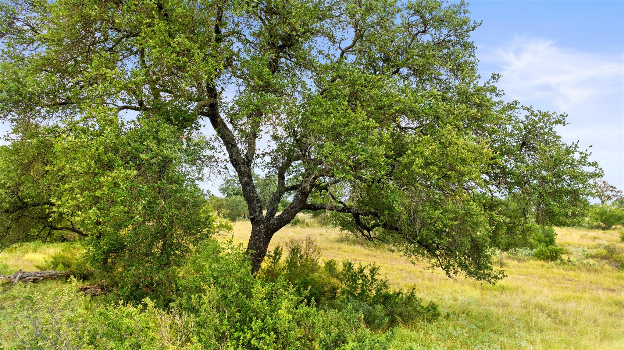 Lot 37 Vista Ridge DR