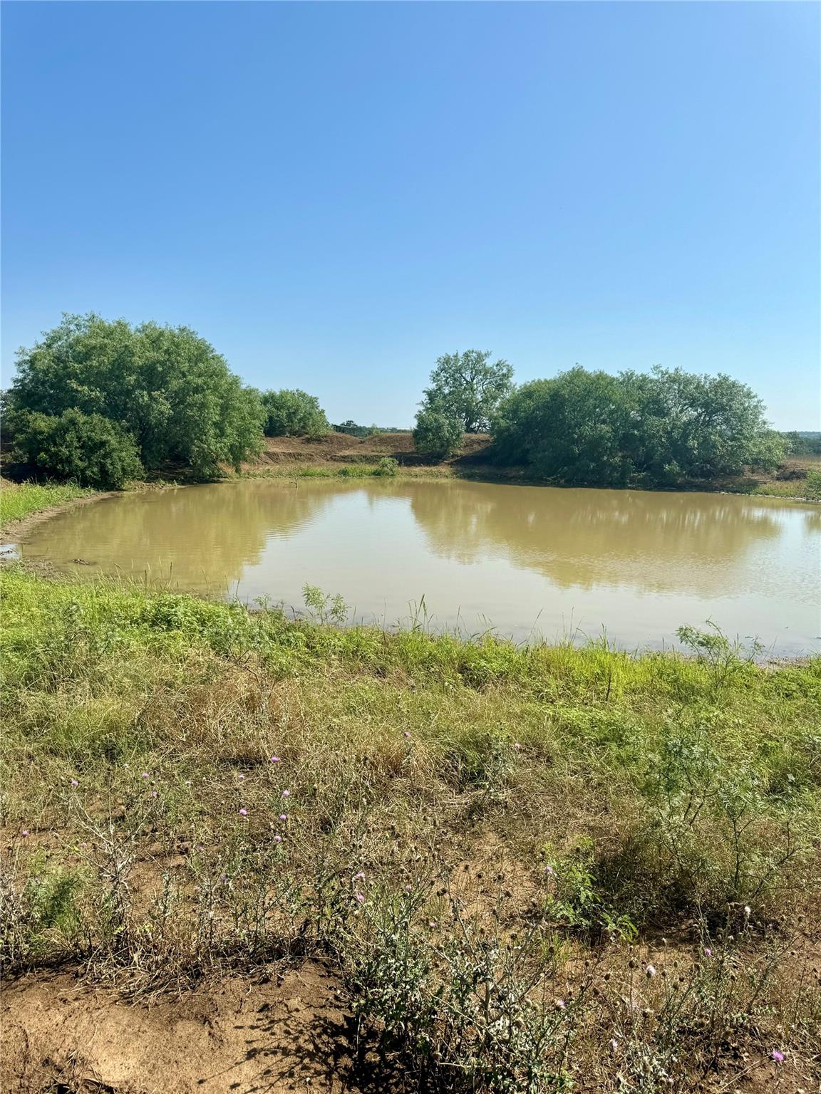5411 Tenney Creek RD