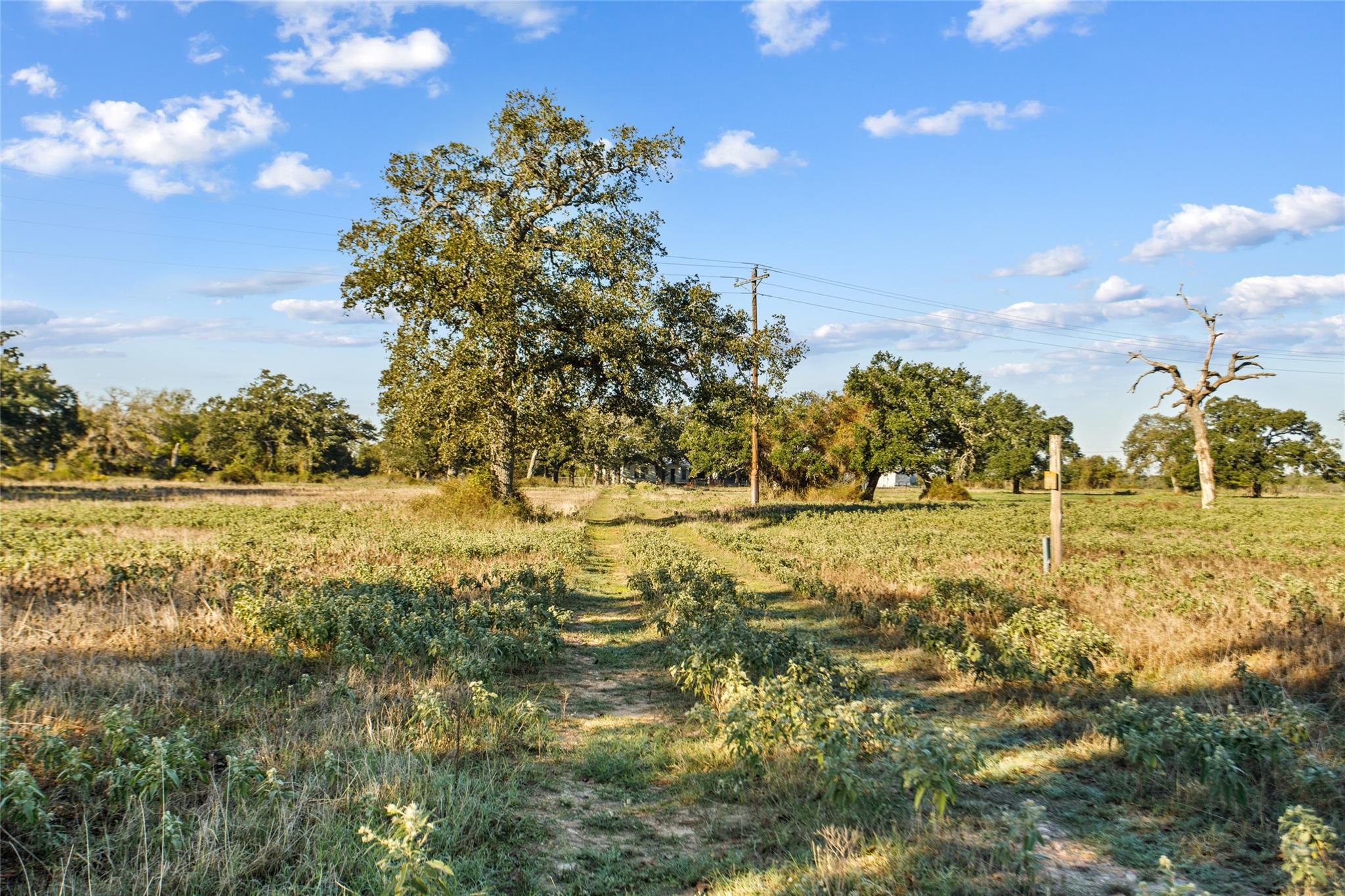 1180 Private Road 2261