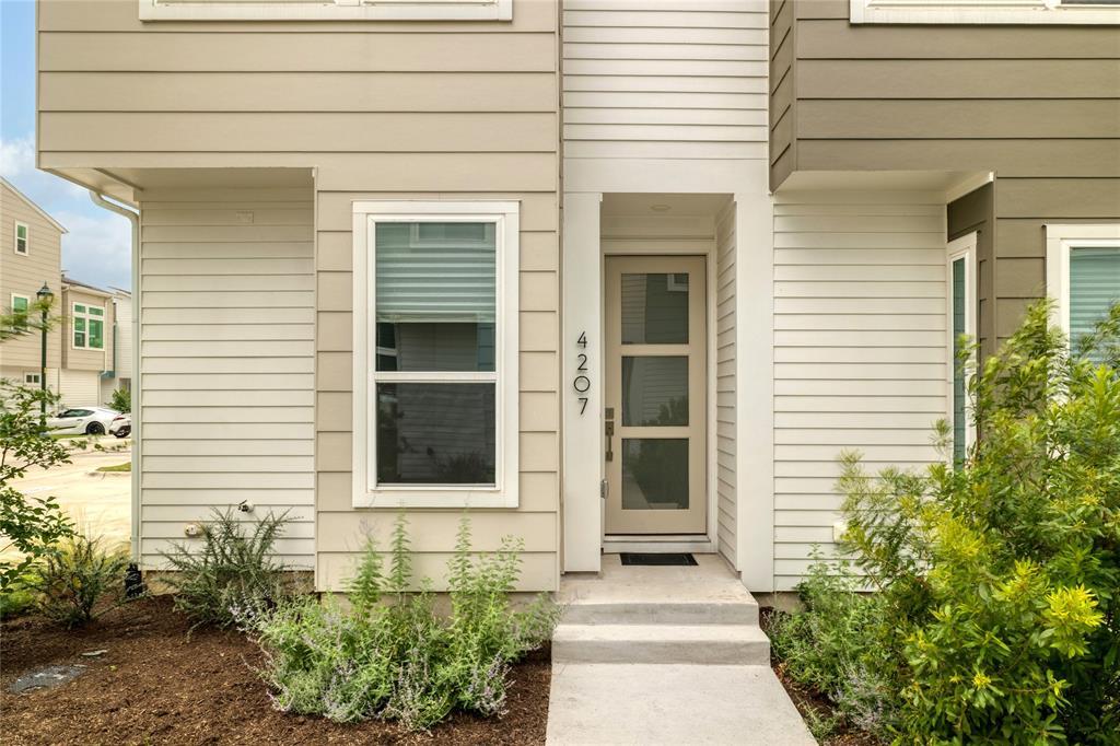 4207 Taniguchi ST