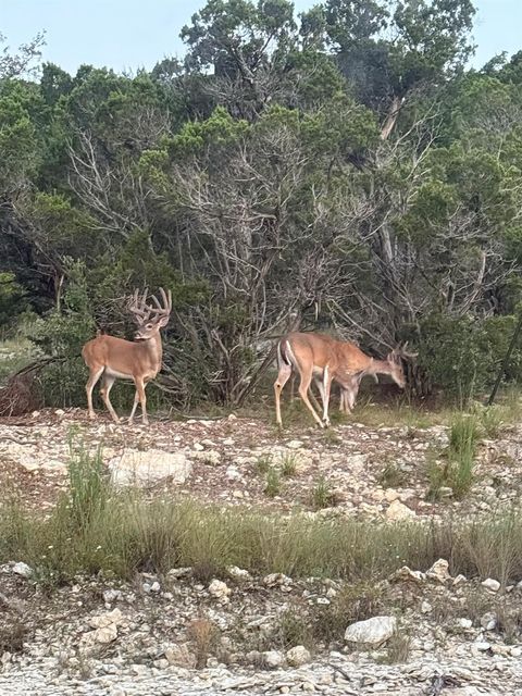 Tiny photo for 10710 Deer Canyon RD, Jonestown, TX 78645 (MLS # 4861924)