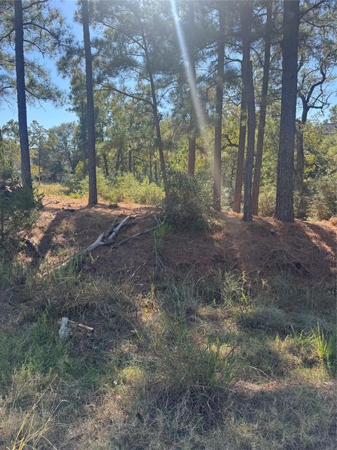 Photo of Lot 97 Kaelepulu DR, Bastrop, TX 78602 (MLS # 2289587)