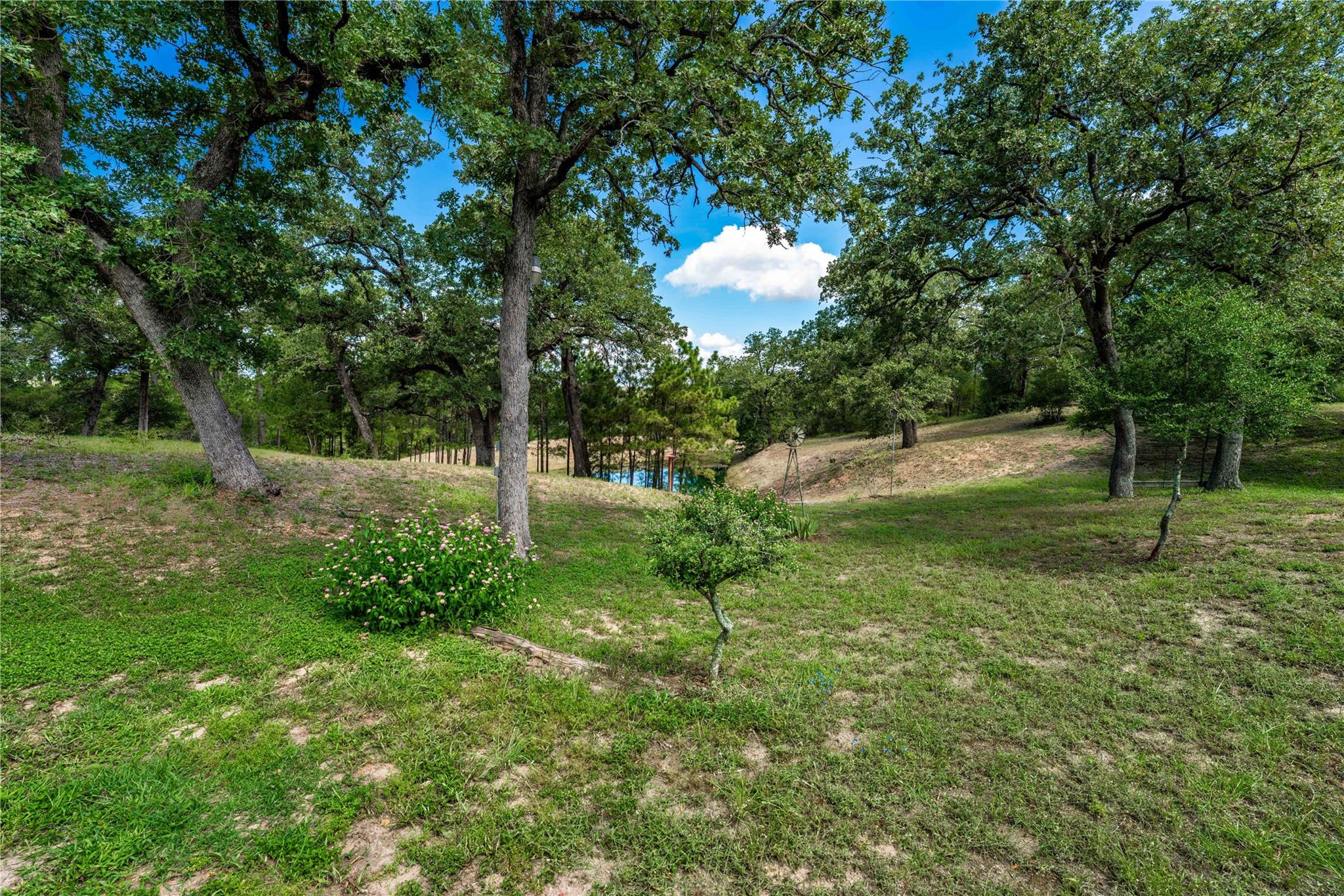 1546 W State Highway 71