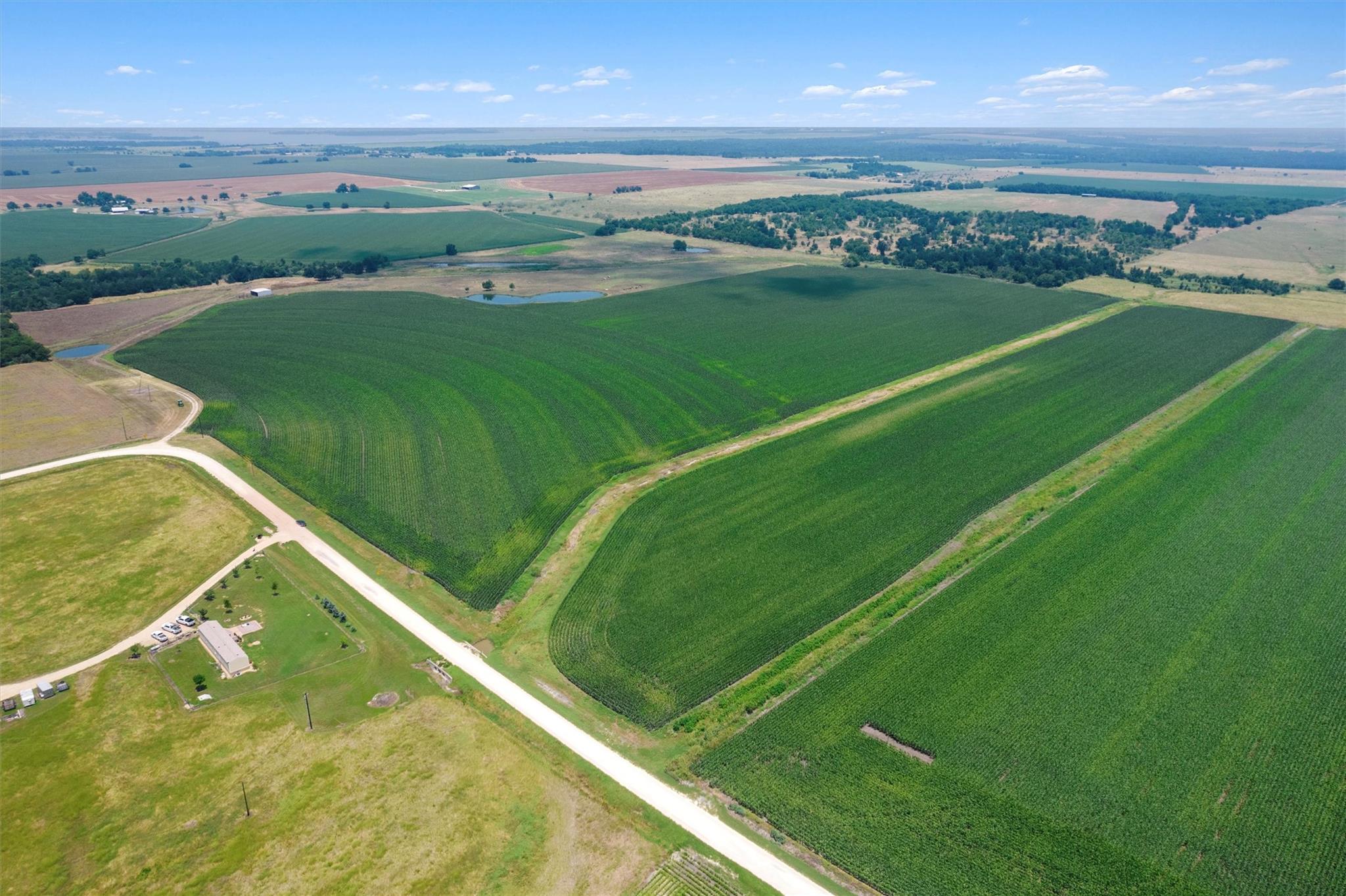 1117 County Road 423