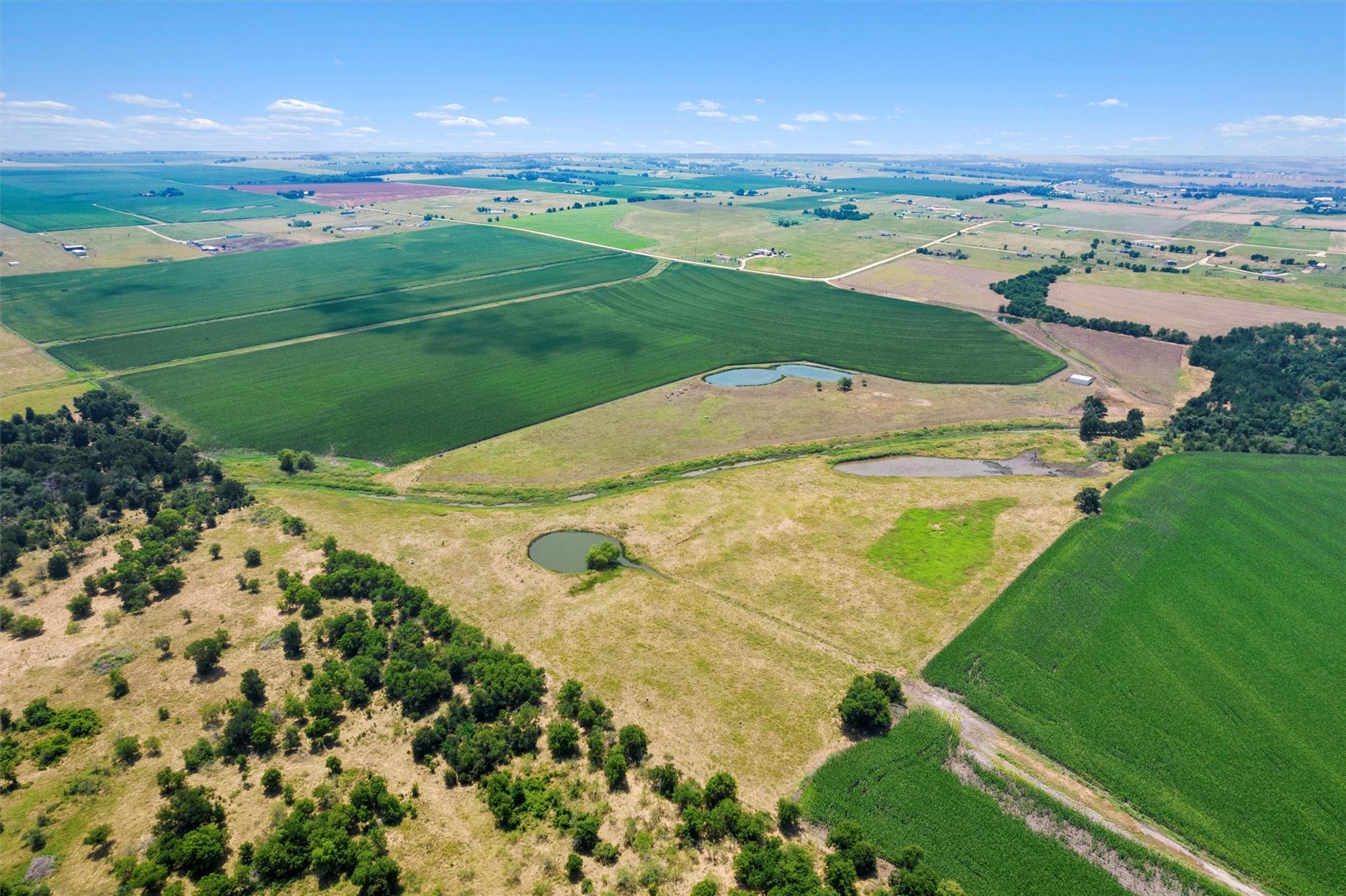 1117 County Road 423