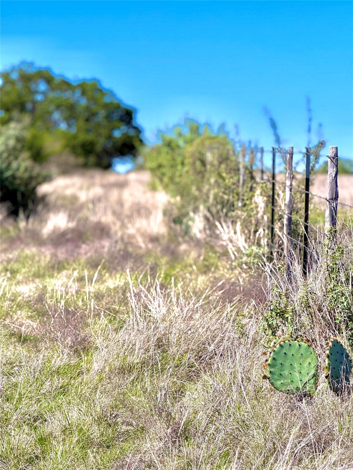 TBD Tract 19 Buckskin PATH