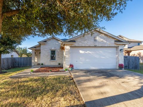 Photo of 3637 Texana LOOP, Round Rock, TX 78665 (MLS # 4208897)