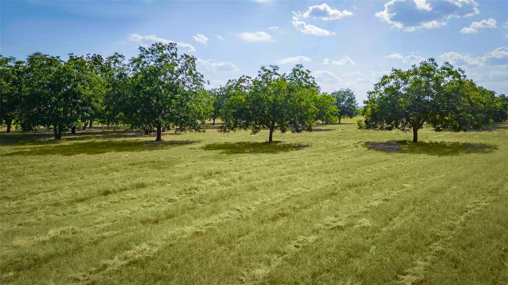 Photo of 95 Loma LN, Fredericksburg, TX 78739 (MLS # 4632893)