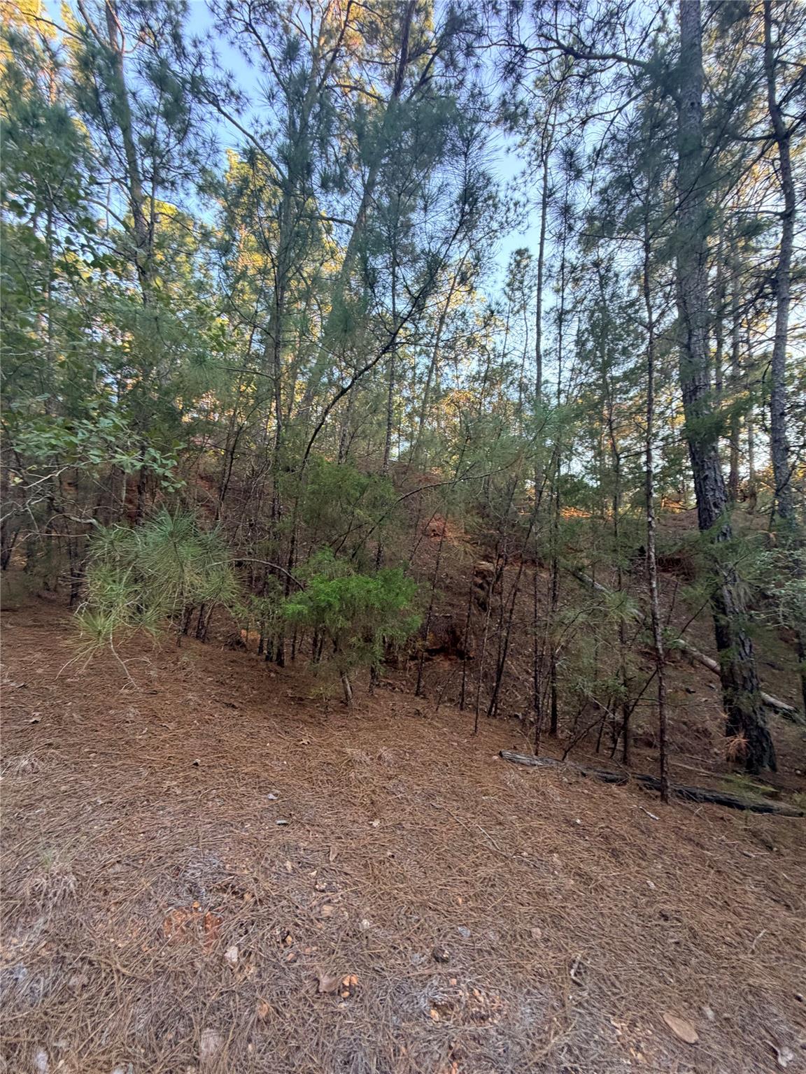 TBD Okoe CT