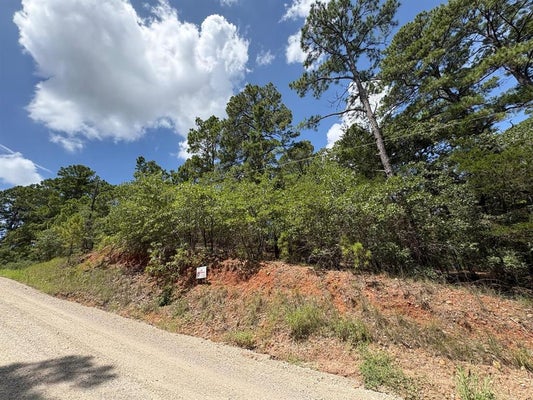 120 MOLOKINI DR, BASTROP, TX 78602 - Image 6d9fdc2951ecb25bcfe2894c3d26568a/2496391340