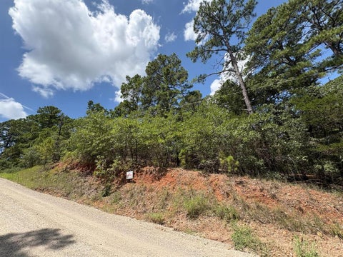 Photo of 120 Molokini DR, Bastrop, TX 78602 (MLS # 9966900)