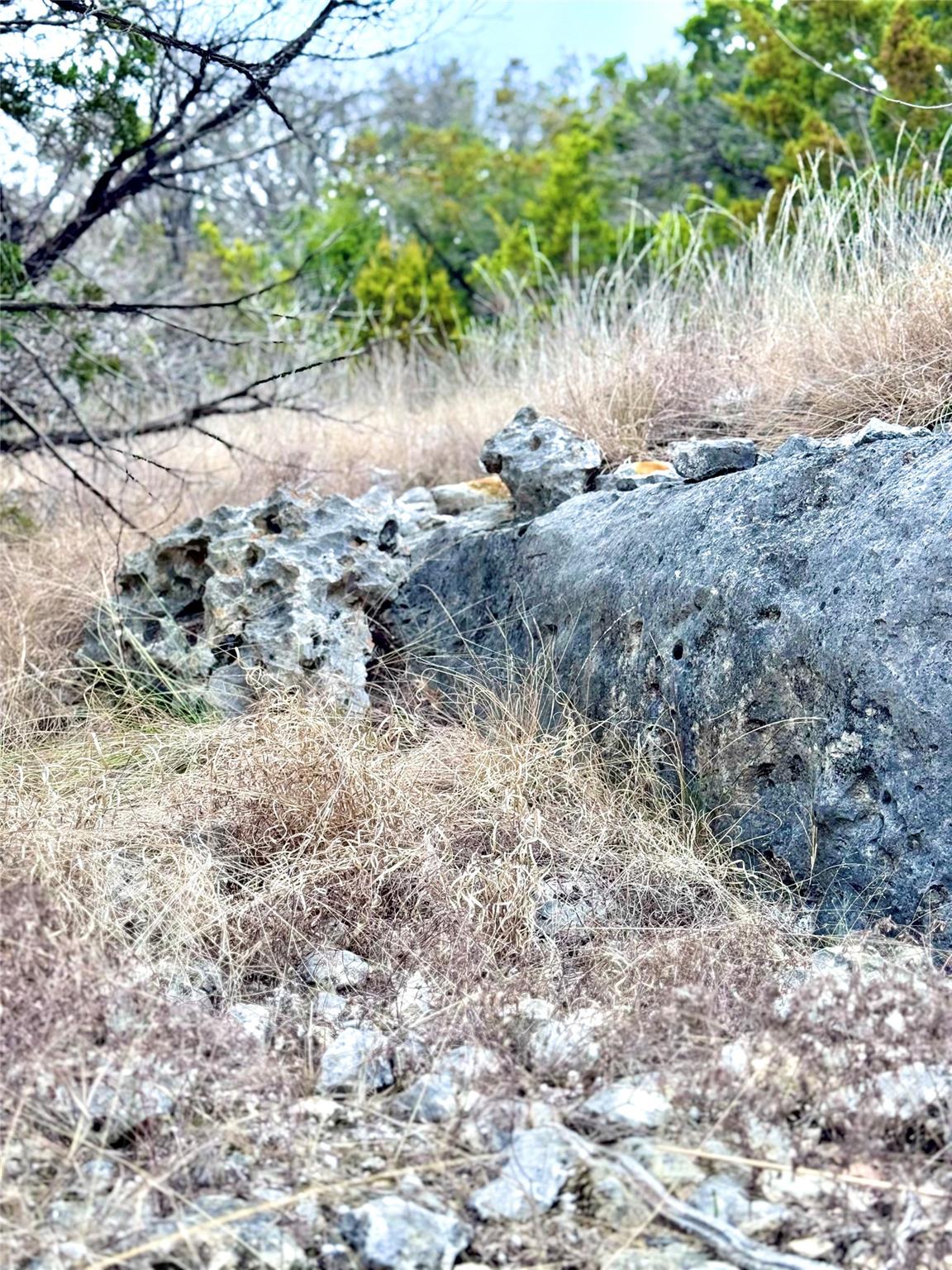 424 Armadillo Trail DR E