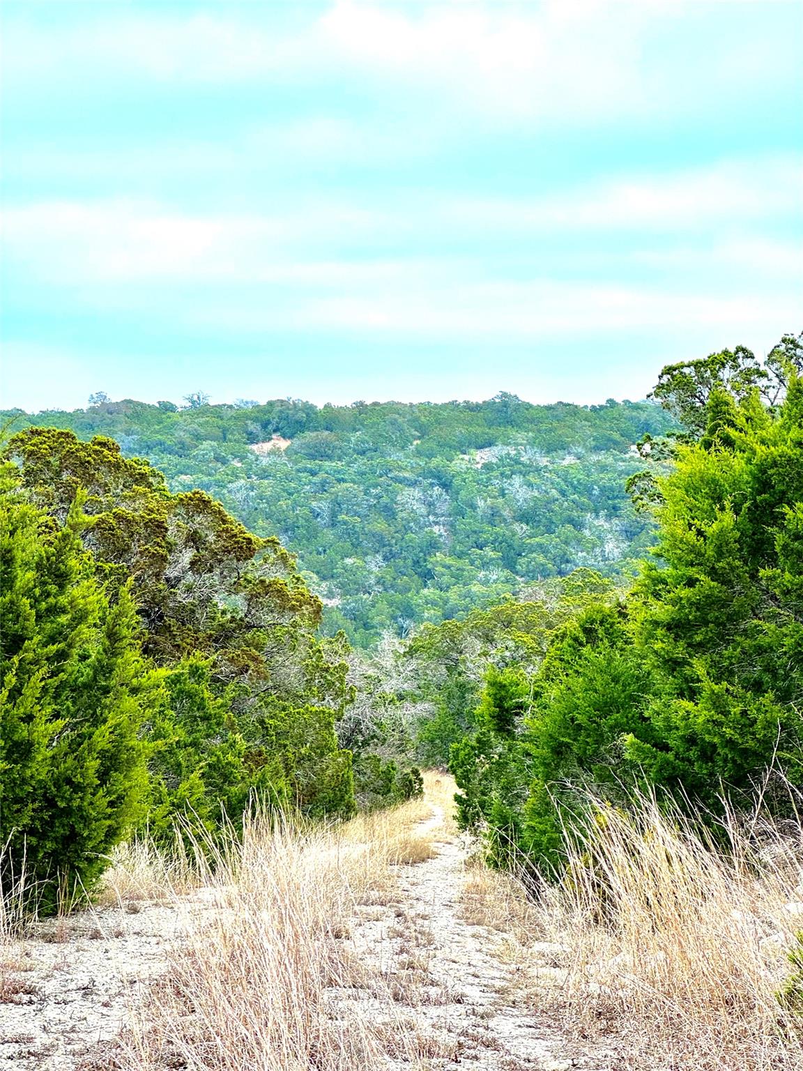 424 Armadillo Trail DR E