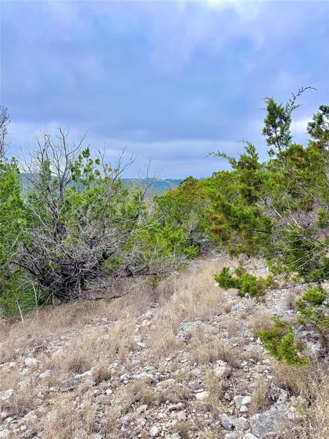 424 Armadillo Trail DR E Center Point TX 78013