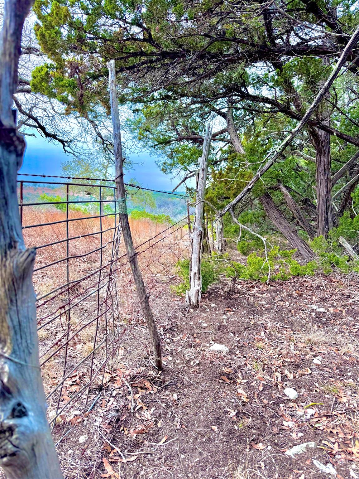 424 Armadillo Trail DR E