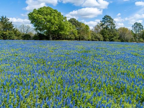 1255 CR 260 Hallettsville TX 77964