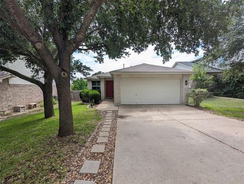 Photo of 14508 Spearmint Tea TRL, Pflugerville, TX 78660 (MLS # 3592393)