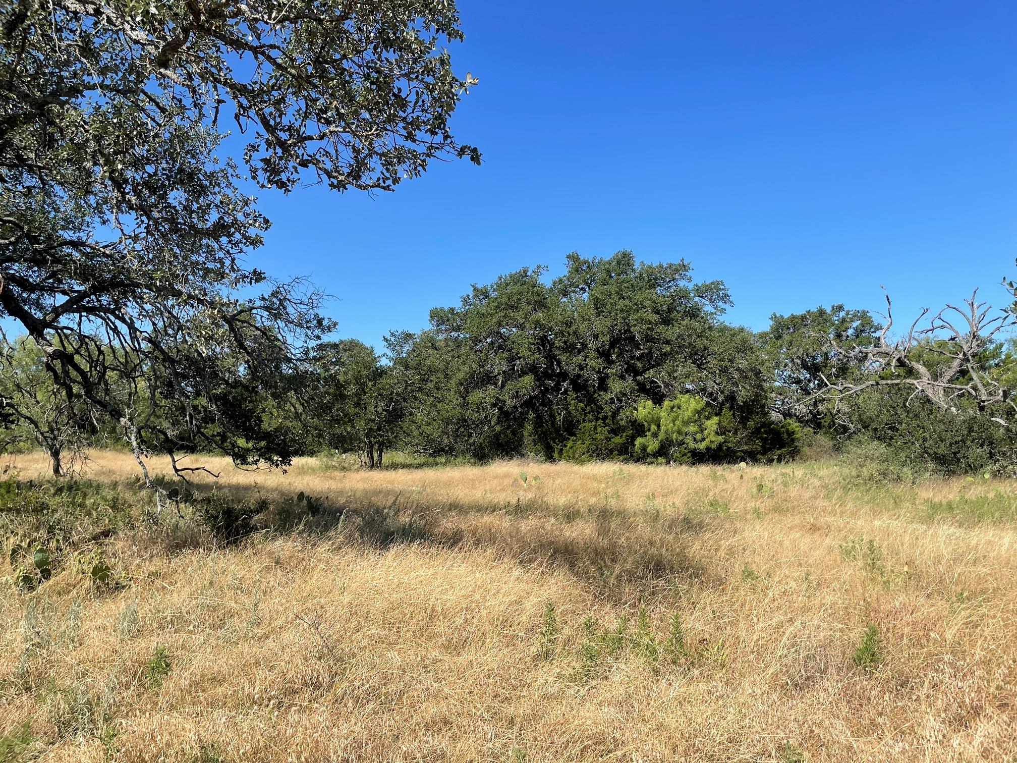 Lot 200 Swamp Creek Cove