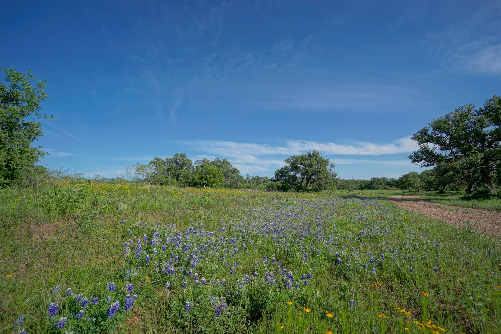 Lot 200 Swamp Creek Cove