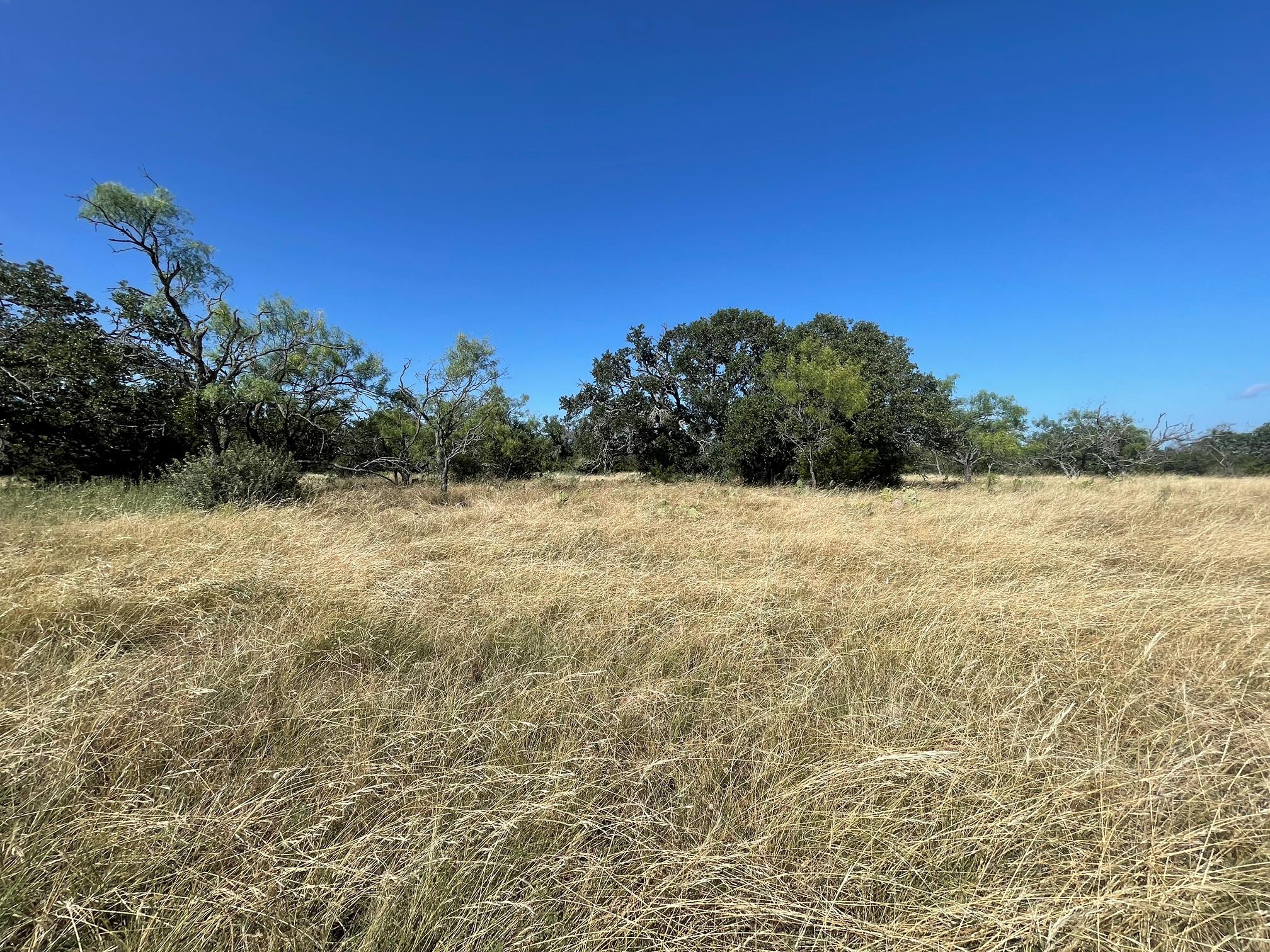 Lot 200 Swamp Creek Cove