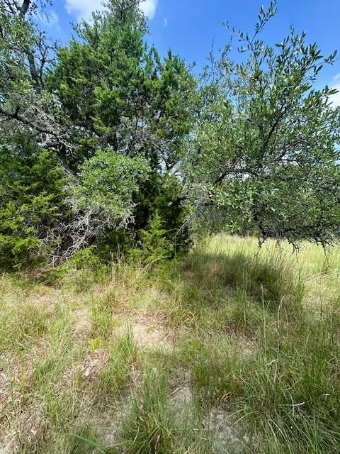 TBD LOT 3 Royal Eagle DR
