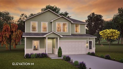 601 Bobcat Creek DR Jarrell TX 76537