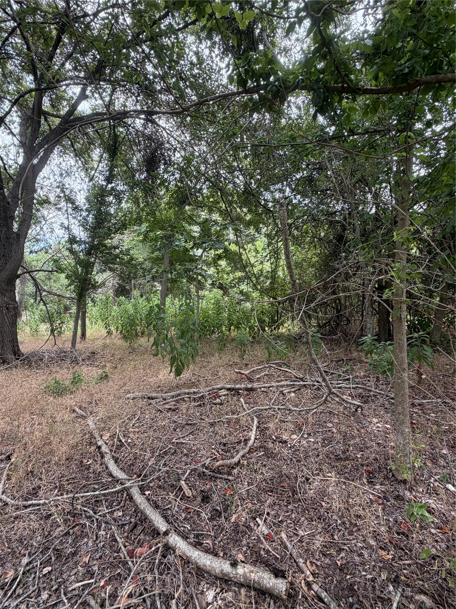 161 Kahana LN