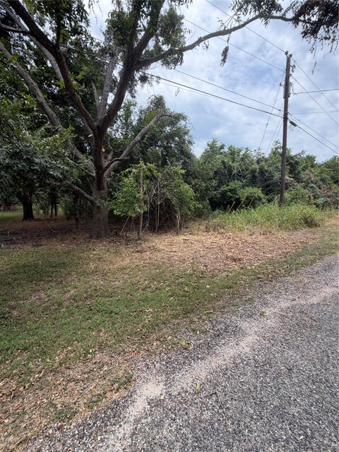 Photo of 161 Kahana LN, Bastrop, TX 78602 (MLS # 6646582)