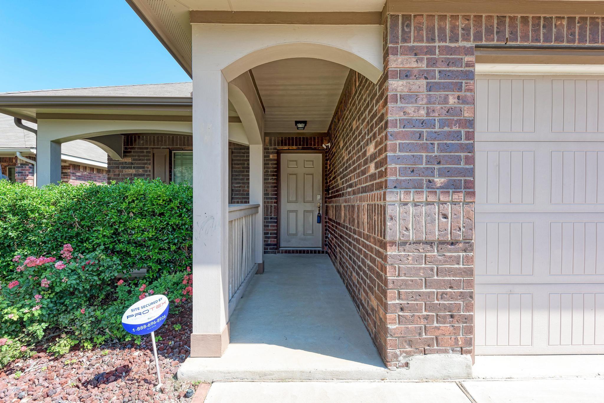 189 Housefinch LOOP