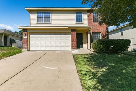 Photo of 197 Peppergrass CV, Kyle, TX 78640 (MLS # 9345772)