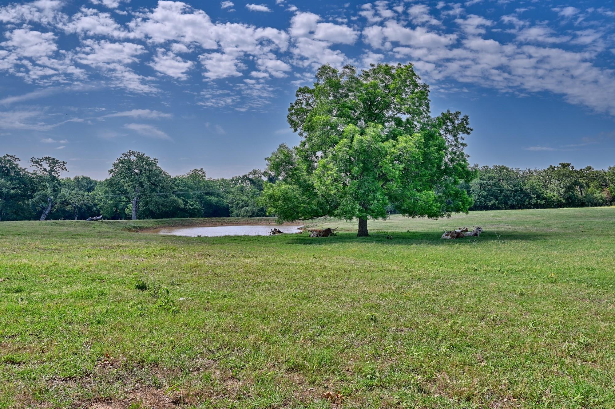 1045 Private Road 7005
