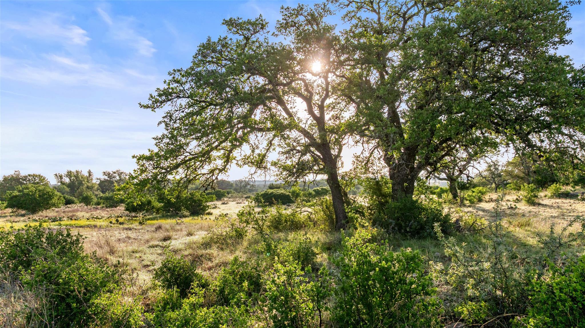 Lot 4 Vista Ridge DR