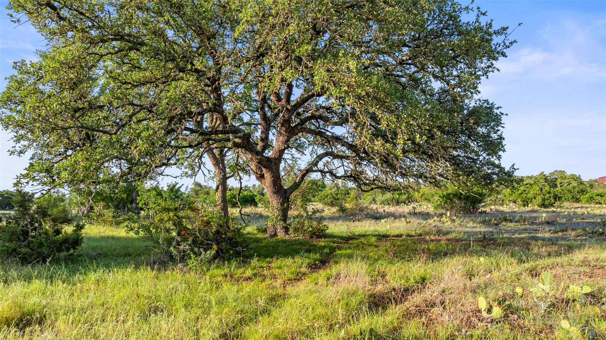 Lot 4 Vista Ridge DR