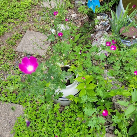 Tiny photo for 1524 Weyford DR, Austin, TX 78757 (MLS # 7665443)