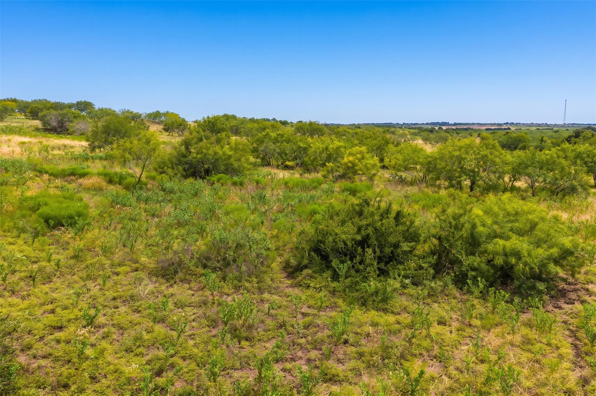 1854 LOT 1 County Road 104