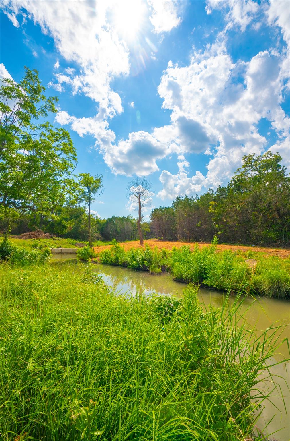 0 Spring Haven Ranch