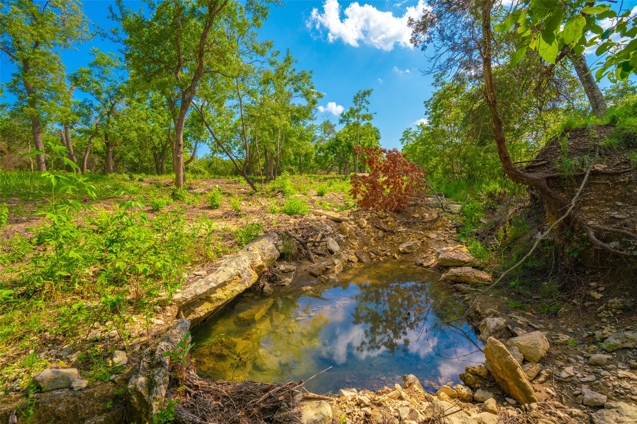 0 Spring Haven Ranch
