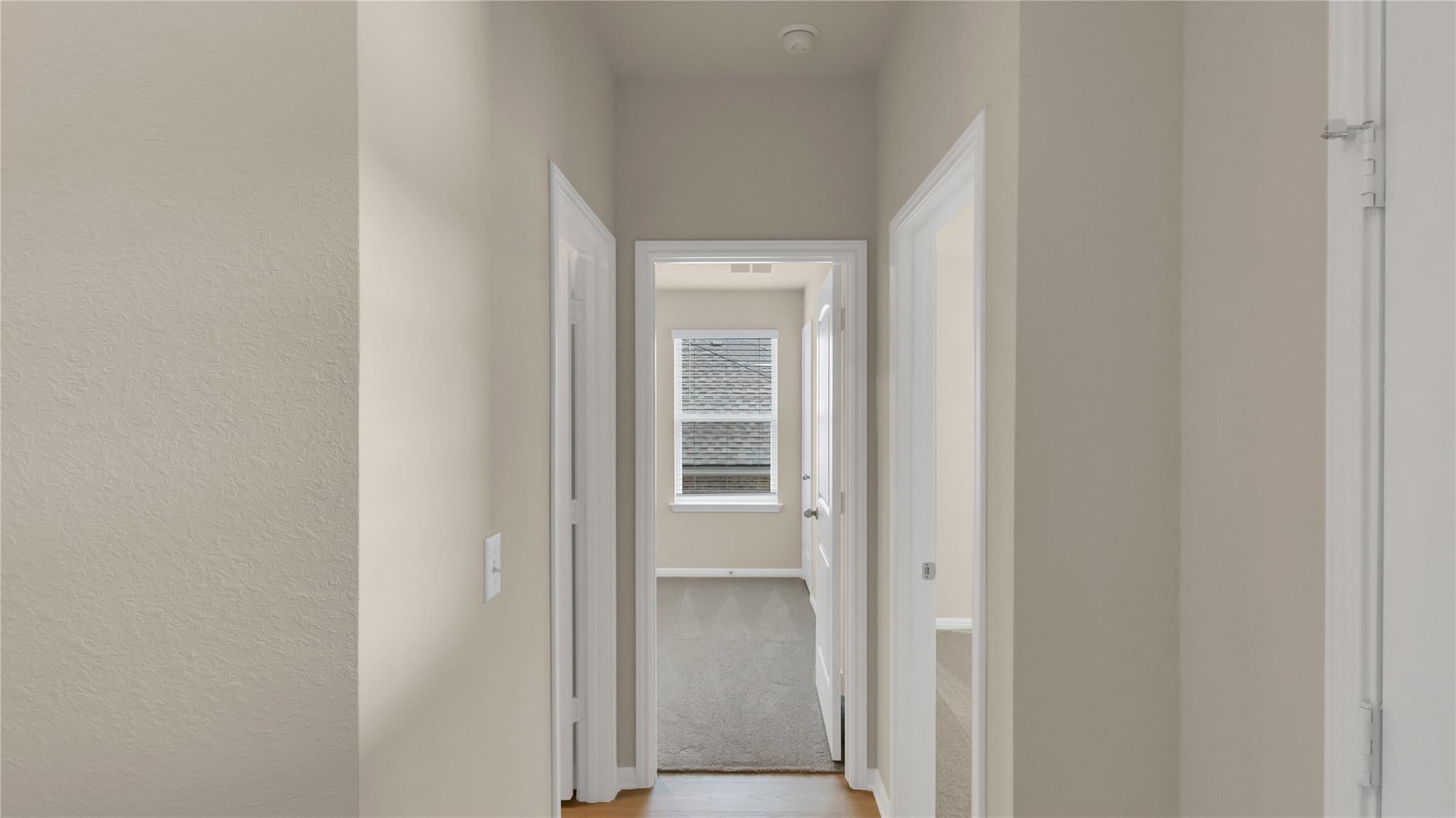 2008 Bandito Bluff PASS