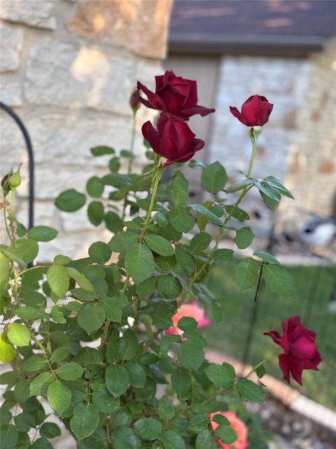 Tiny photo for 33 Oaks PL, Lago Vista, TX 78645 (MLS # 6000148)