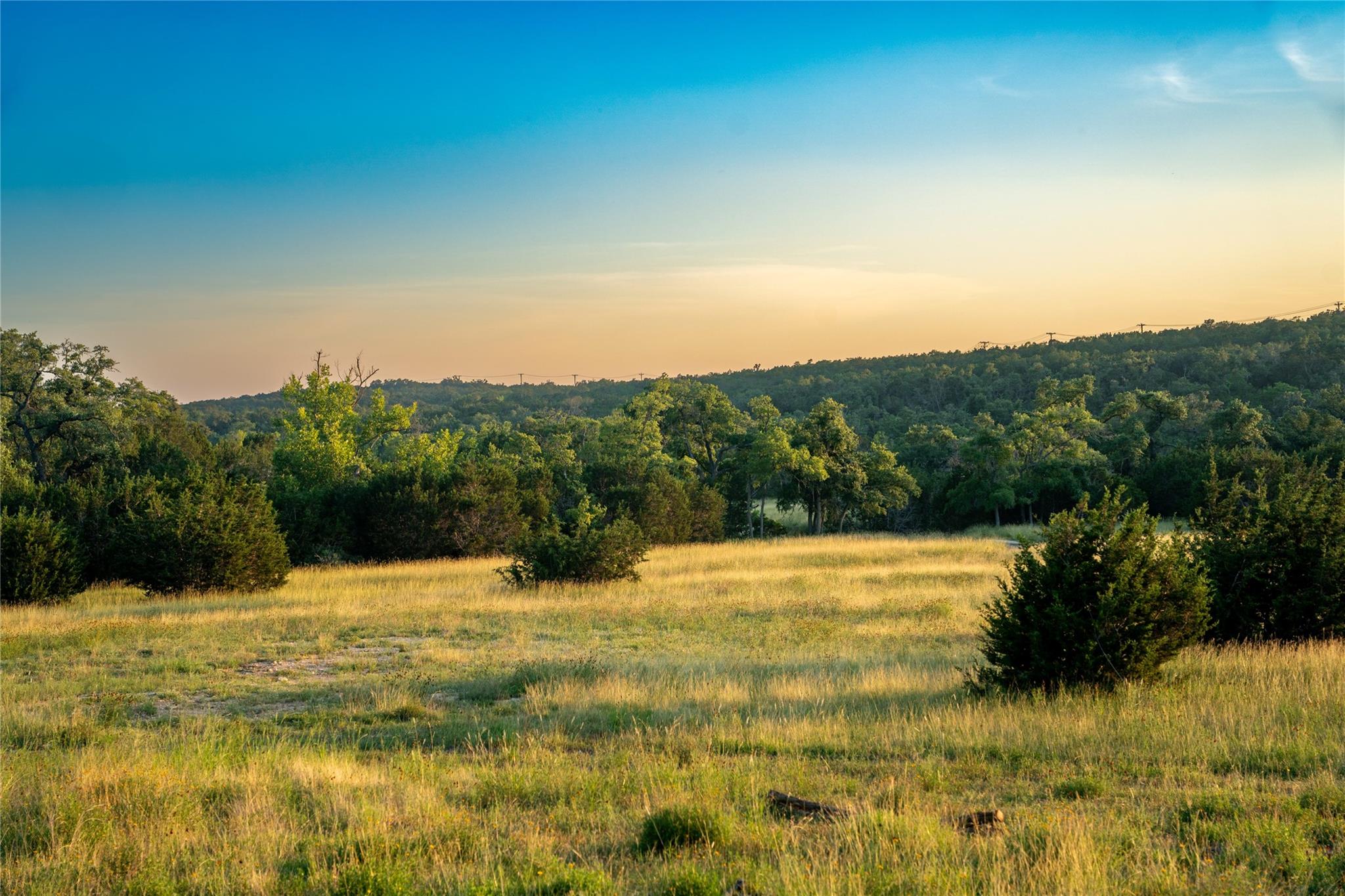 Lot 6 Bluff Springs DR