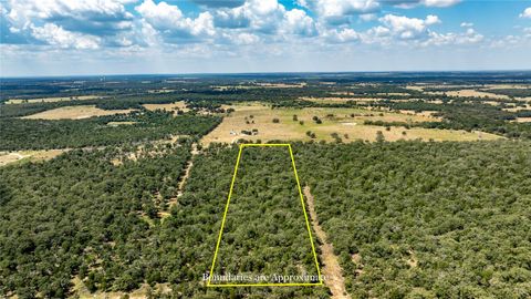 TBD Edgewood Trail RD Paige TX 78659